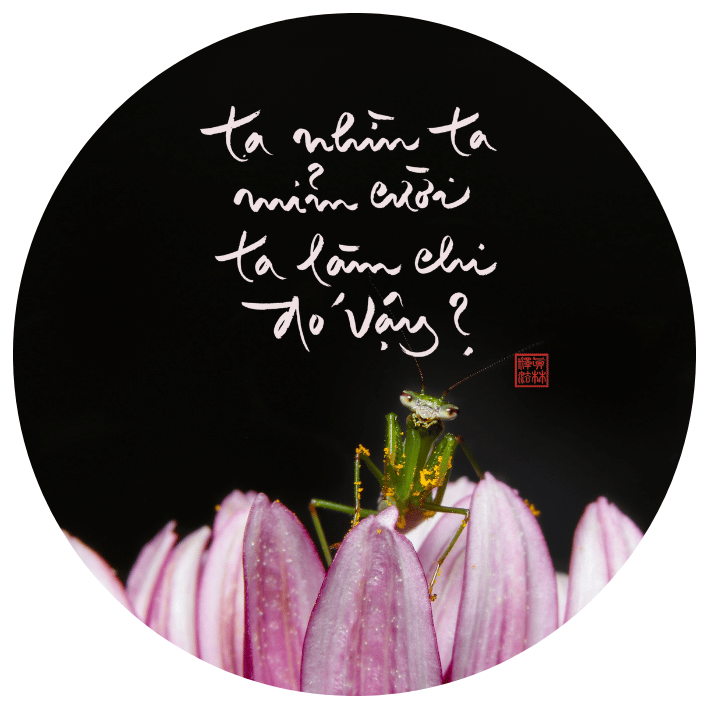 PIN THƯ PHÁP 4x4CM
