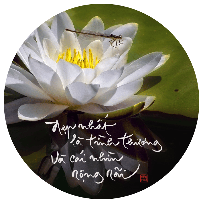 PIN THƯ PHÁP 4x4CM